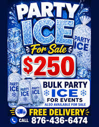 Party ice for sale